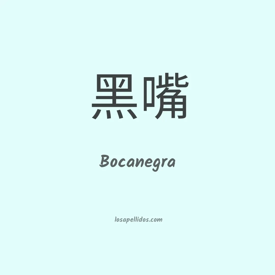 Bocanegra en chino