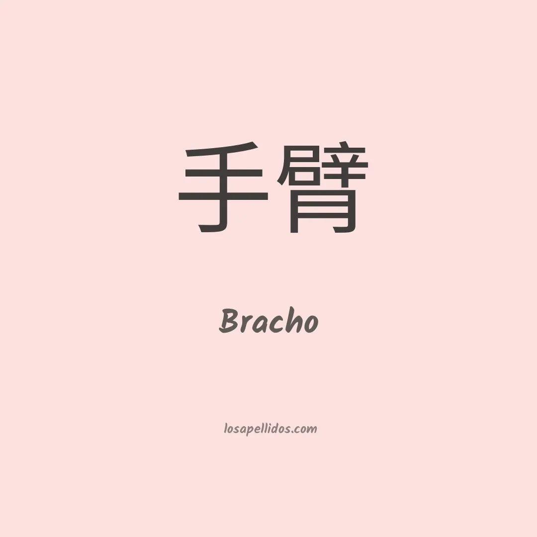 Bracho en chino