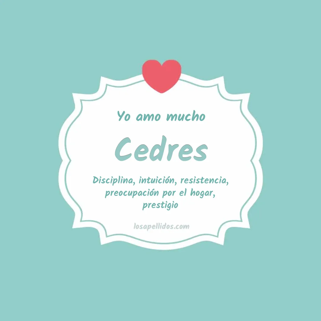 Yo amo mucho Cedres