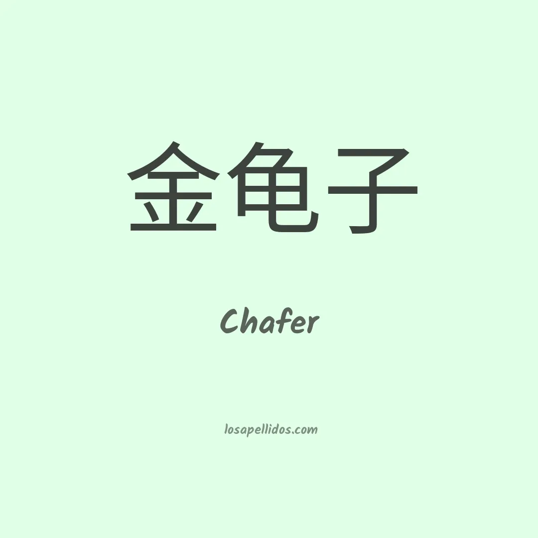 Chafer en chino