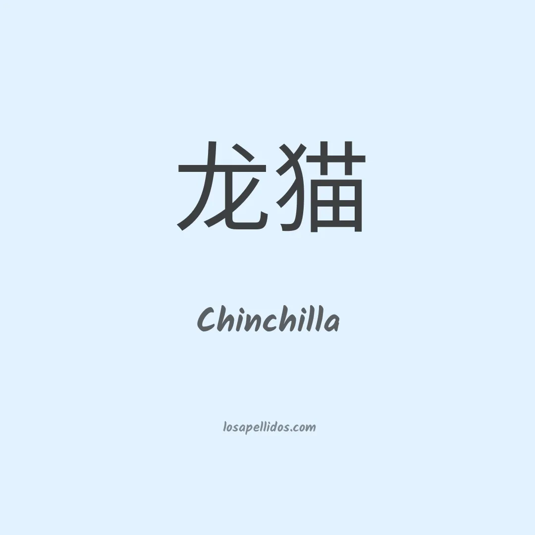 Chinchilla en chino