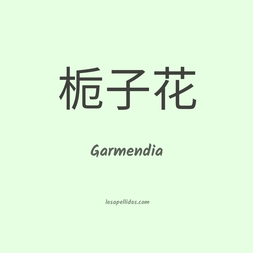 Garmendia en chino