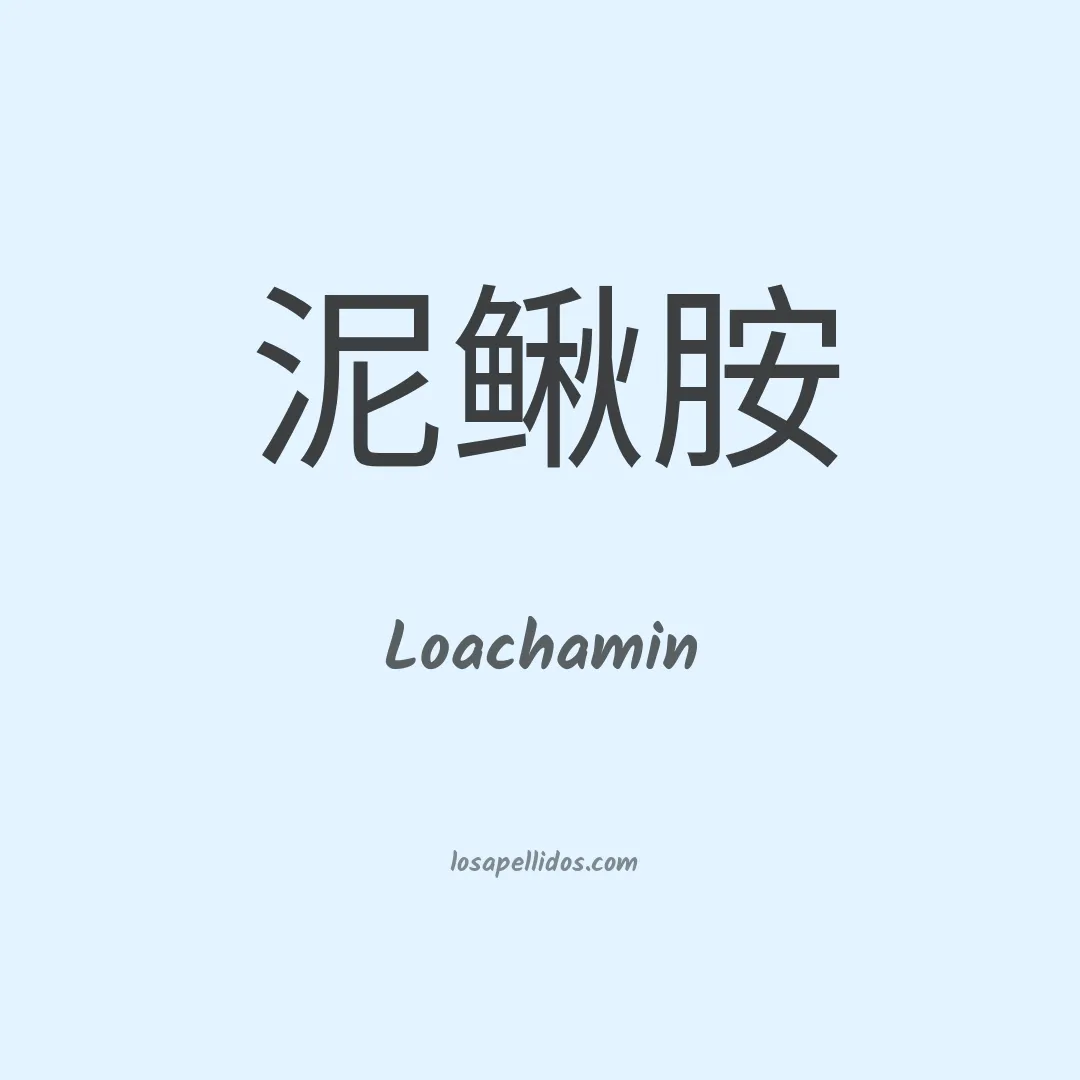 Loachamin en chino