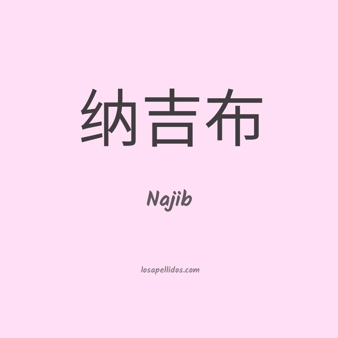 Najib en chino