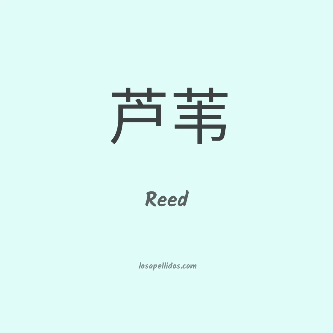 Reed en chino