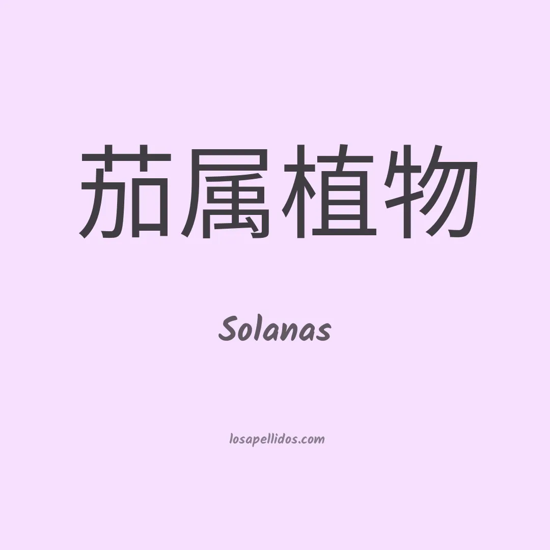 Solanas en chino