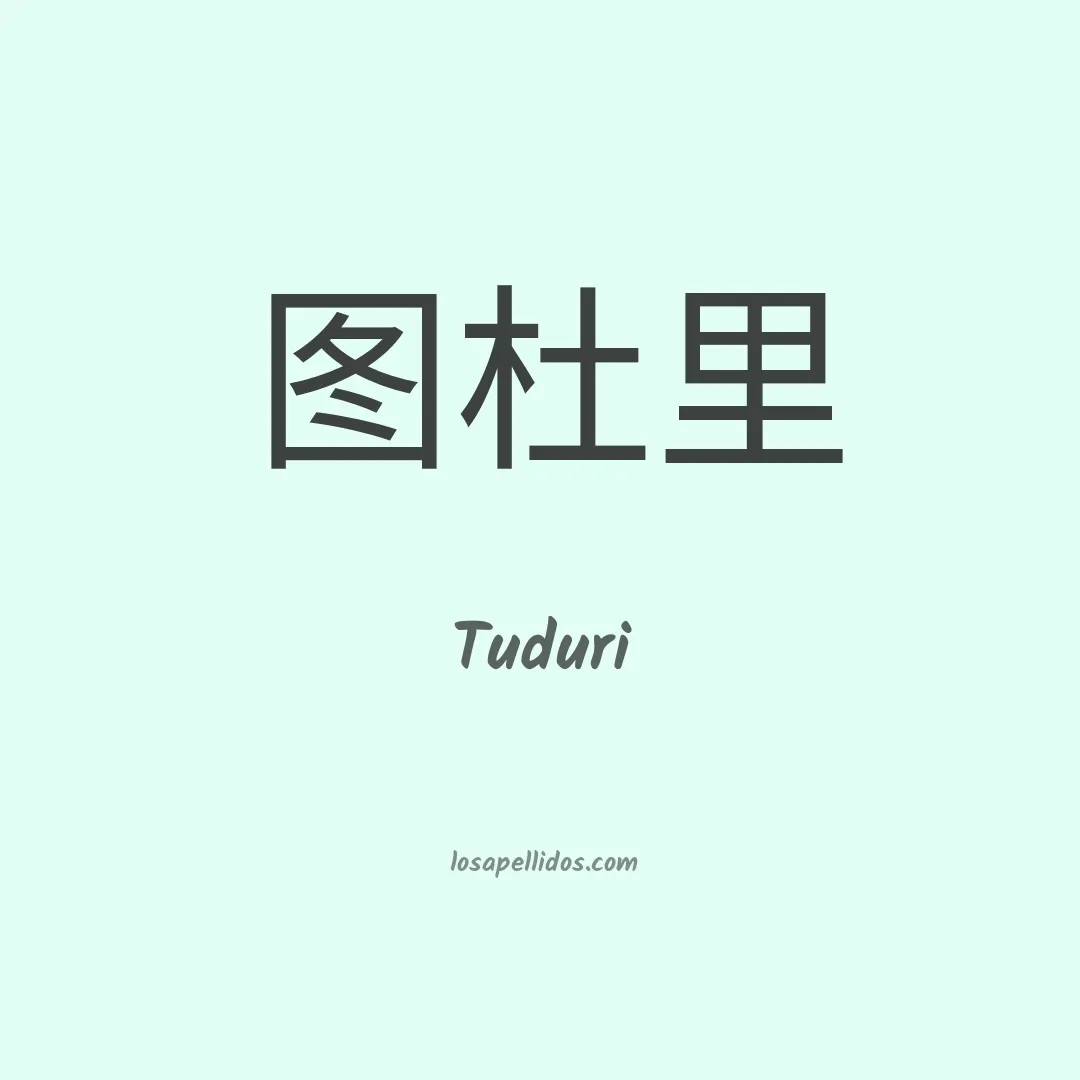 Tuduri en chino