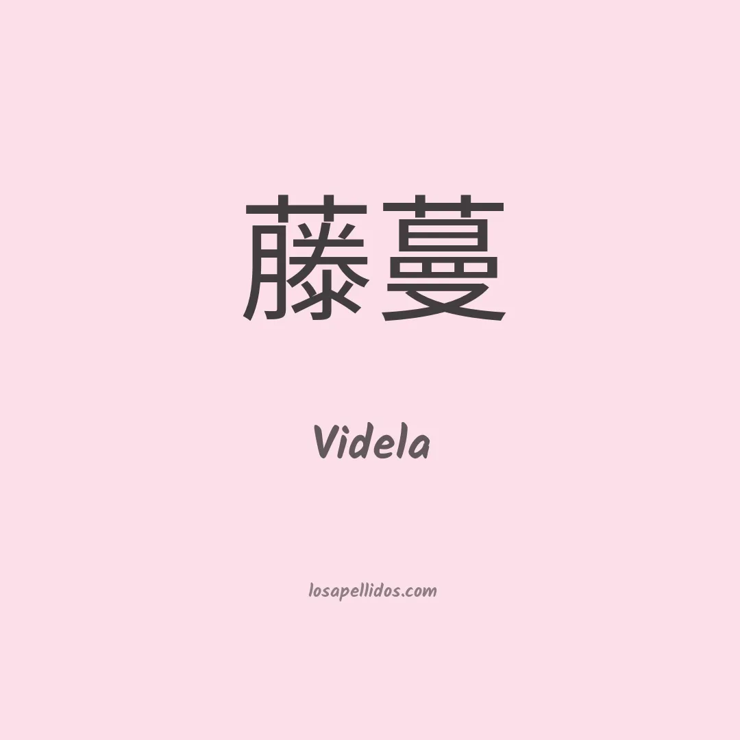 Videla en chino
